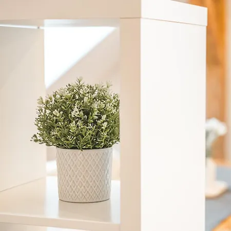 - Modernes Im Stadtzentrum - Klima - Netflix *